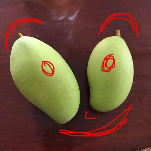 Meet your Posher, Đạn - Picture 1 of 1